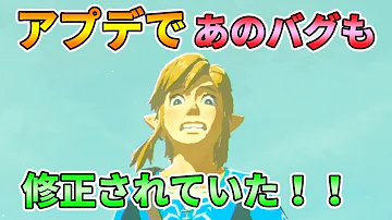 ゼルダの伝説ブレスオブザワイルドバグ集