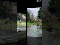 Lovely Countryside! #adonsvlogs #youtubeshorts #countryside#lake#water#nature#beauty #colours#birds