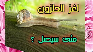 الجواب ليس 15 لغز الحلزون و الشجرة ارنا ذكاءك و أجب عليه