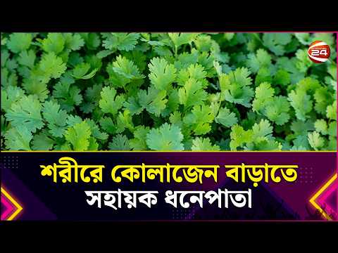 শরীরে কোলাজেন বাড়াতে সহায়ক ধনেপাতা | Coriander Leaves | Health Tips | Lifestyle 24 | Channel 24