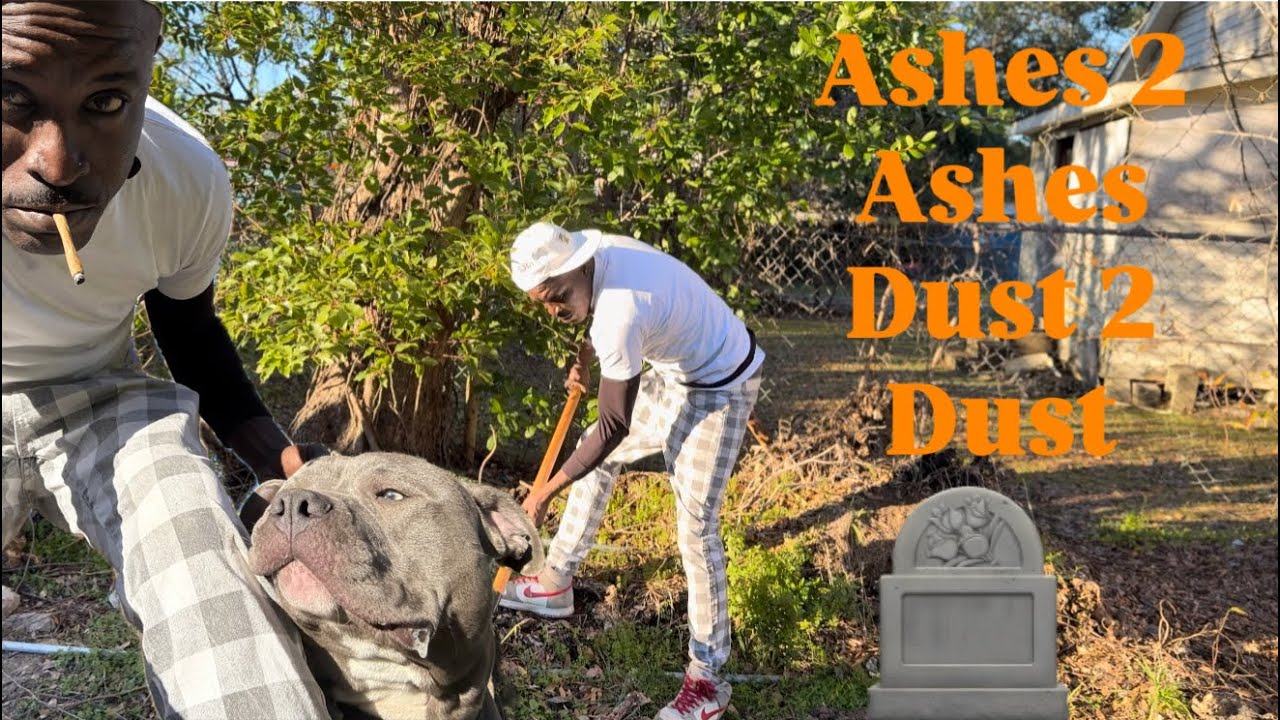 Fin Baby Mama Put To Rest On Camera 