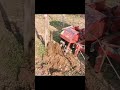 agricultural machine #satisfying #asmr #farming #machine #automobile #food #tree #trending image