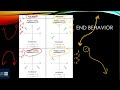 Determine End Behavior