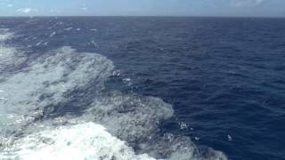 at sea