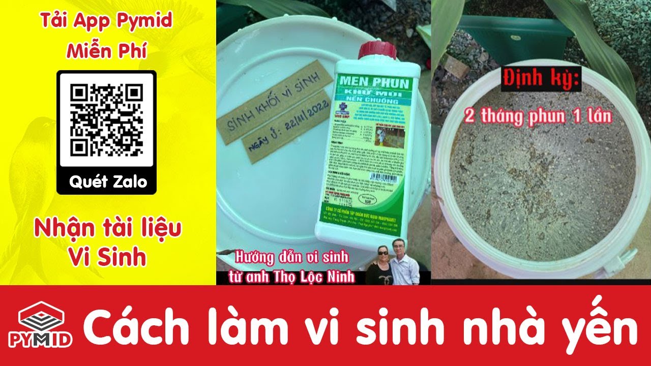 Cách làm vi sinh nhà yến từ anh Thọ (Chuyên gia nông nghiệp) miễn phí