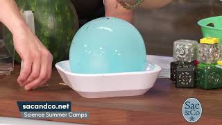 Science Summer Camps