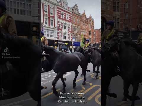 Video: Was ist auf der Kensington High Street?