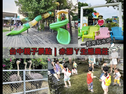 台中親子景點｜赤腳ㄚ生態農莊｜鳥禽動物、沙坑、草地、戲水池、溜滑梯。親子餐廳。讓我們玩水去！