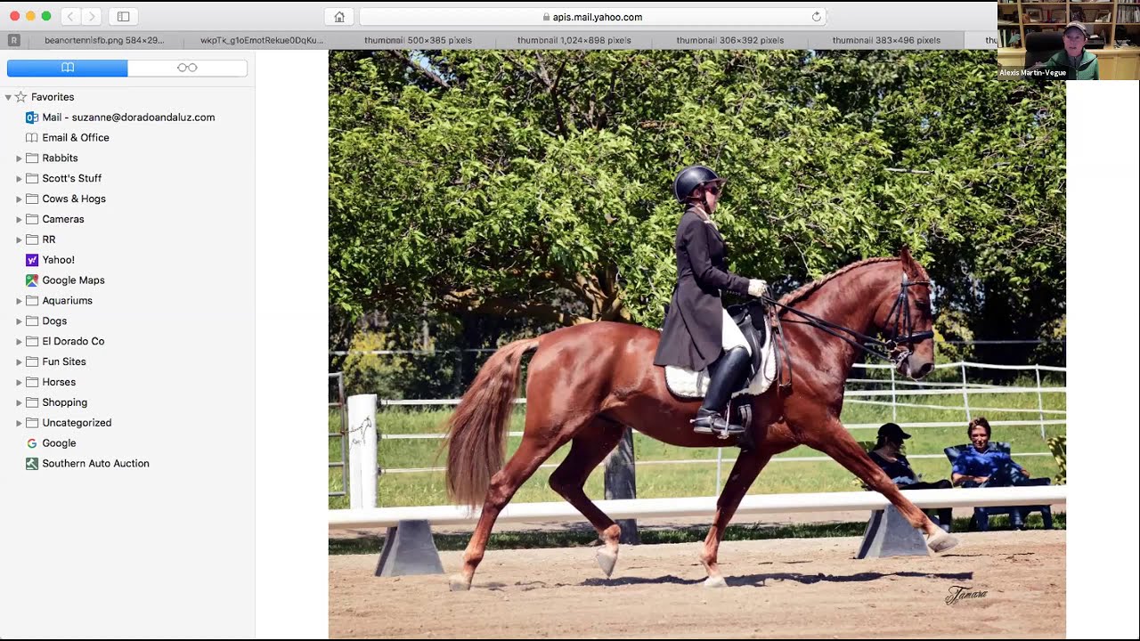 Dressage Webinar Series #1 - Alexis Martin-Vegue on Rider Biomechanics