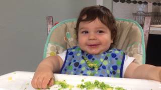 FAQ - At what age should my child first visit the dentist? | Allison Fowler, DDS FAQ - At what age should my child first visit the dentist? | Allison Fowler, DDS