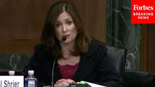 JUST IN: Abigail Shrier Slams Equality Act In Senate Hearing