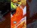 Water Sound Relax Indah #asmr #relaxing #trending #video #water