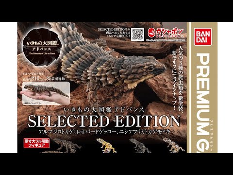 生き物大図鑑いきもの大図鑑アドバンス SELECTED EDITION 3種