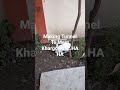 Rabbit Making Tunnel 😜