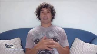 Doggy Dan The Online Dog Trainer Interview
