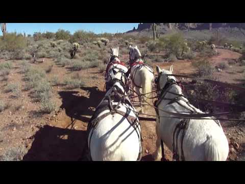 4 Horse Hitch at Superstition Mountain.MP4