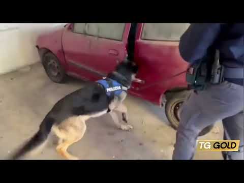 Video ROMA: SPACCIO A TOR BELLA MONACA, 11 ARRESTI