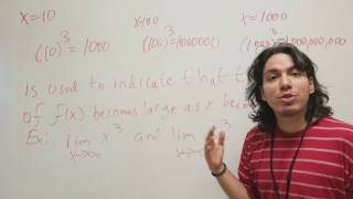 Calculus Lesson 8: Infinite Limits at Infinity