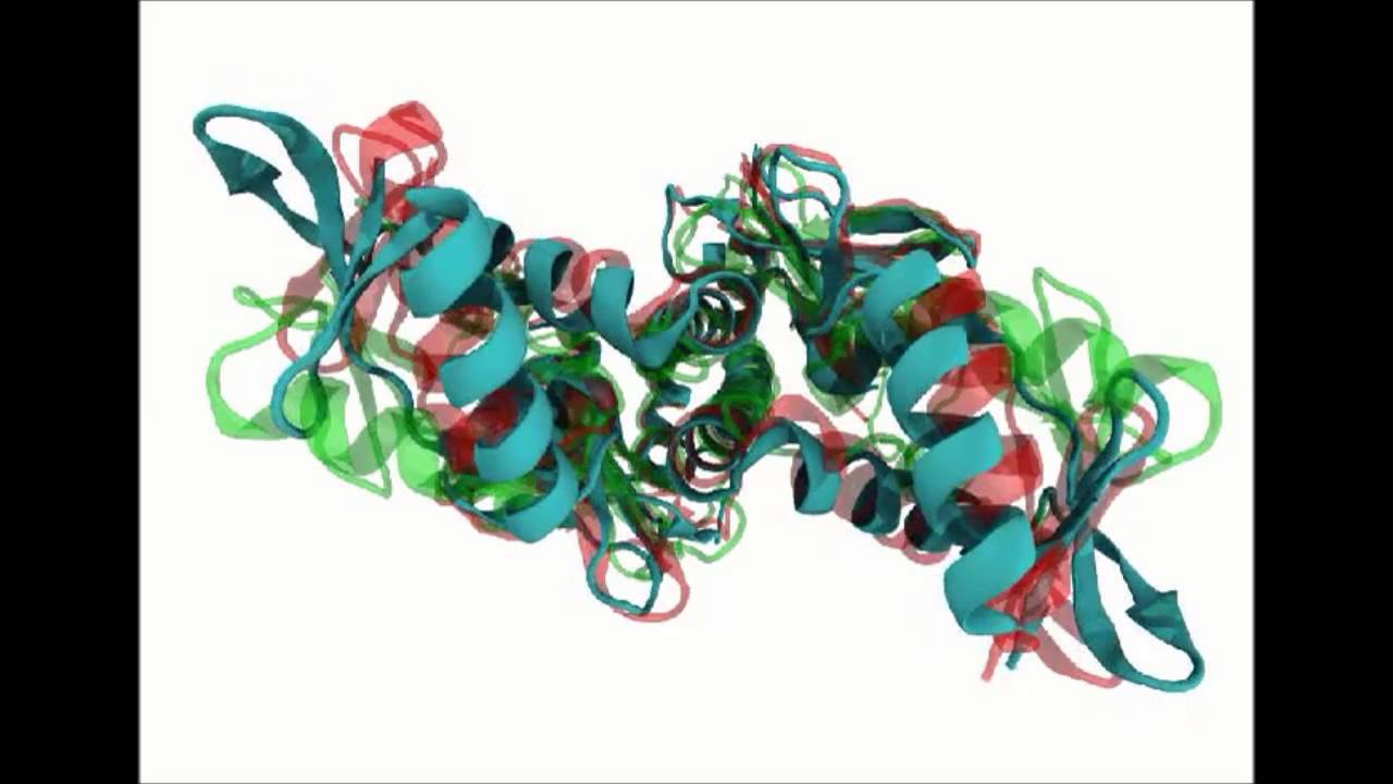 Dynamic Allostery of the Catabolite Activator Protein Revealed by