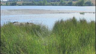 Download Lagu Lynyrd Skynyrd - All I Can Do Is Write About It INTRO MP3