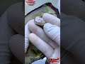 #shorts 😲 Pearl Extraction: A Shell-Shocking Experience! 🤩 #gemstone