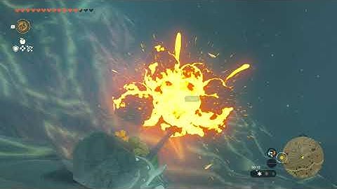 [DAY 694] of finding one korok seed in TotK everyday until we get them all