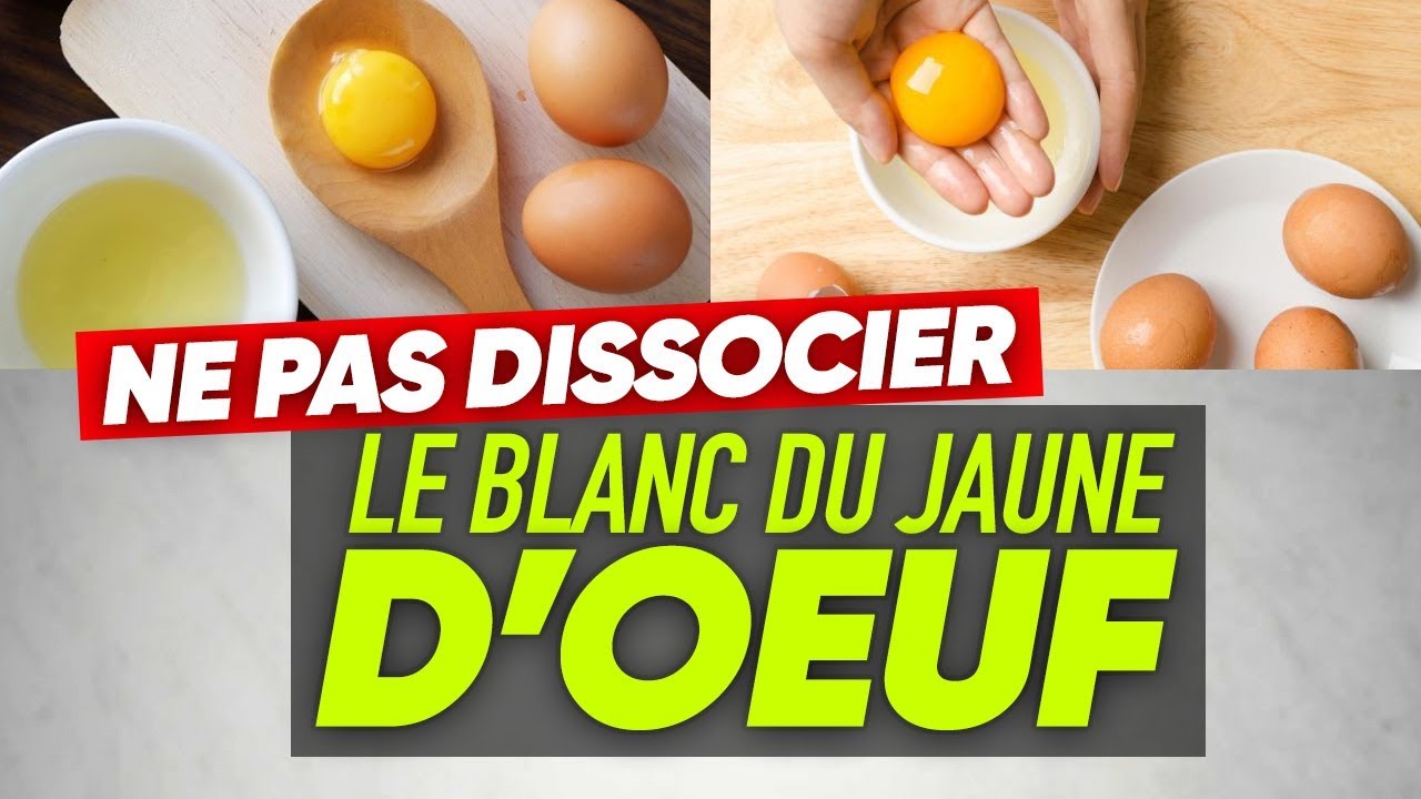 LE JAUNE D'OEUF est-il MAUVAIS à cause du CHOLESTÉROL ? se muscler les bras