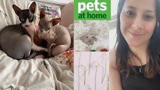 Hamster Products  and Cat Products What's new in Pets at home store 2021 by With My Own Two Hands 588 views 2 years ago 11 minutes, 47 seconds