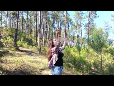 ჩაუმქრალი სანთლები! მარიამ ბრეგაძე