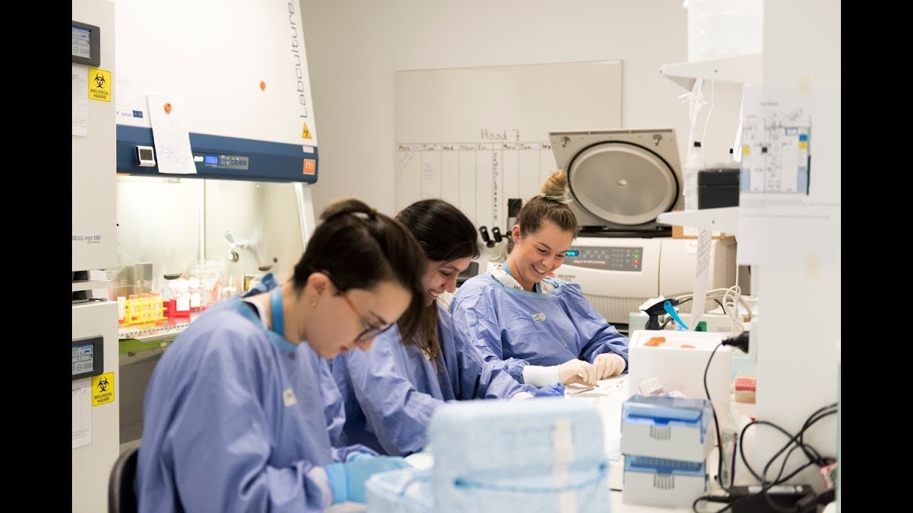 monash university type 1 diabetes research