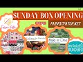 Sunday Box Opening - NEW FRIENDS from Tracy&#39;s Mixed Media retreat!! 3 AMAZING collections!