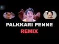 Palkkari Penne Remix | Jagathy Sreekumar | New Malayalam Song Remix