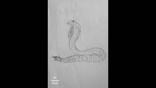 I drew an Indian cobra in pencil| Dibujo una cobra India a lapíz| Mi pequeña libreta| dibujo a lapíz
