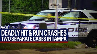 Tampa Police investigating two deadly hitandruns