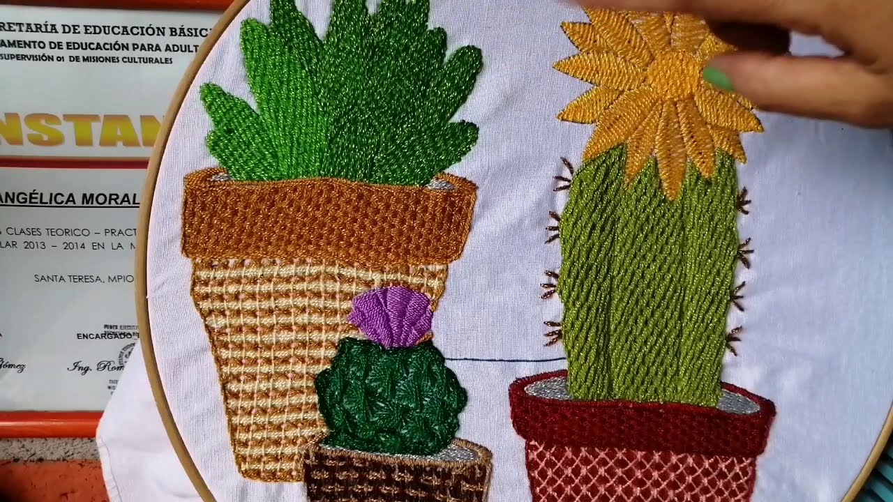 Bordado fantasía para cactus muy fácil ó cualquier diseño 🌵🌵🌵🌵