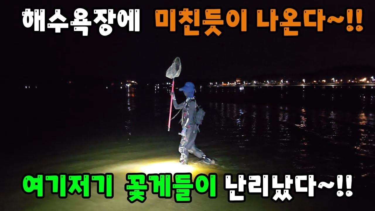 해수욕장에 미친듯이 나오는 꽃게들 여기저기 꽃게들이 난리났다~!!