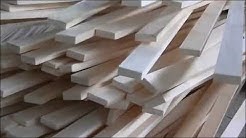 Bamboo farm and processing