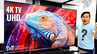 Is This New Best 4K QLED Android Smart TV From iFFalcon 🔥🔥???