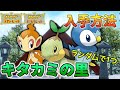 【追加DLC】シンオウ御三家のタマゴ入手場所【ポケモンSV/スカーレット バイオレット】