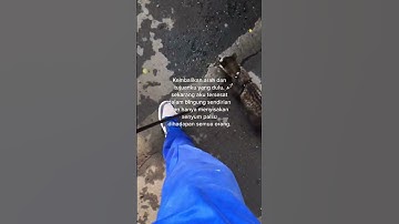 STATUS WHATSAPP TERBARU 2023 || STATUS WA  #shorts #storywa #video #viral