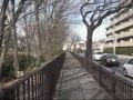 歩行動画 五日市街道を歩く(前編)