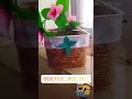 diy transition #craft #decoration #diy #youtubeshorts #youtubeshort #homedexore#transition