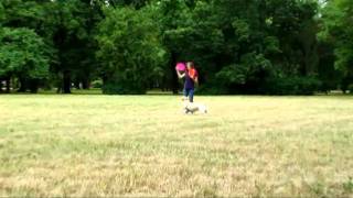 Teyla and frisbee by Lab&bc 216 views 12 years ago 2 minutes, 40 seconds