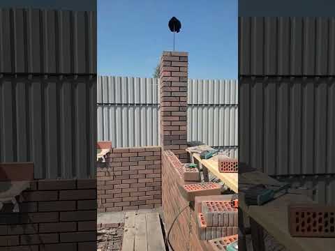 7 дней беседка