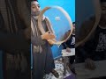 أكاد من فرط الجمال ازوبو