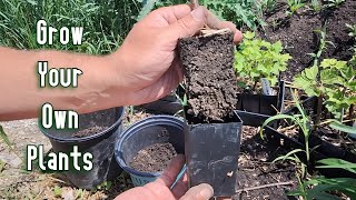 What is Needed in Edible Landscaping  Plants!