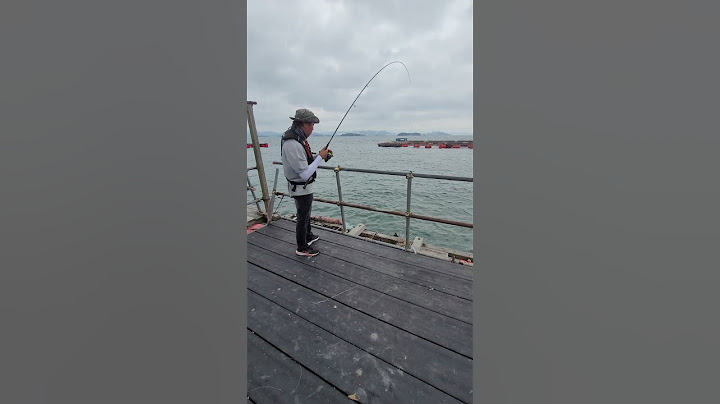 2025년7월04일 우럭 4짜다 4짜 대일수산좌대 #fishing #생활꿀팁 #낚시 #fishingvideos #뉴스 #seafood #shorts #AI #에이아이