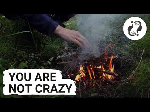 Why Campfire Smoke Follows You