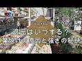 【Vlog866】【多肉植物】遮光はいつする?葉焼けの原因と強さの秘訣【私の場合】