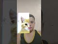 Choose my animal  tiktok shorts foryou